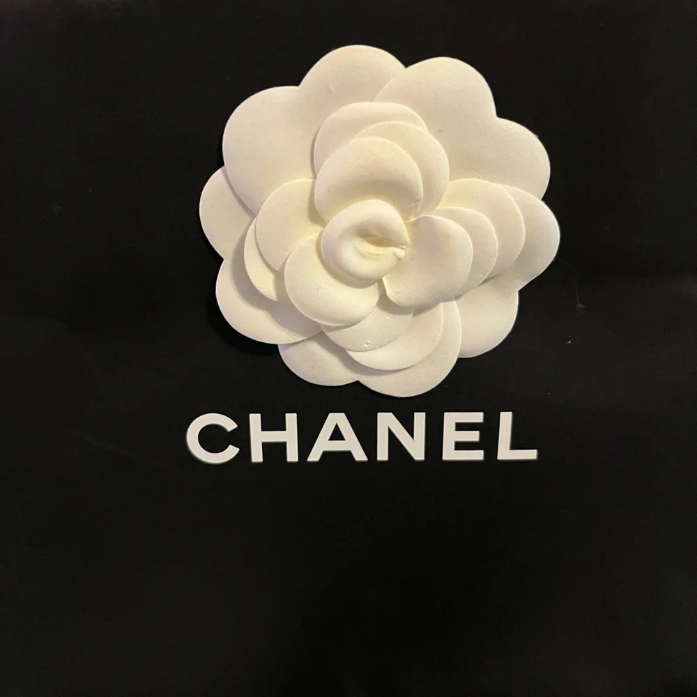 CHANEL good bag